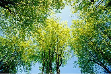 PCE平台传说游戏回归《超兄贵》将登陆Switch